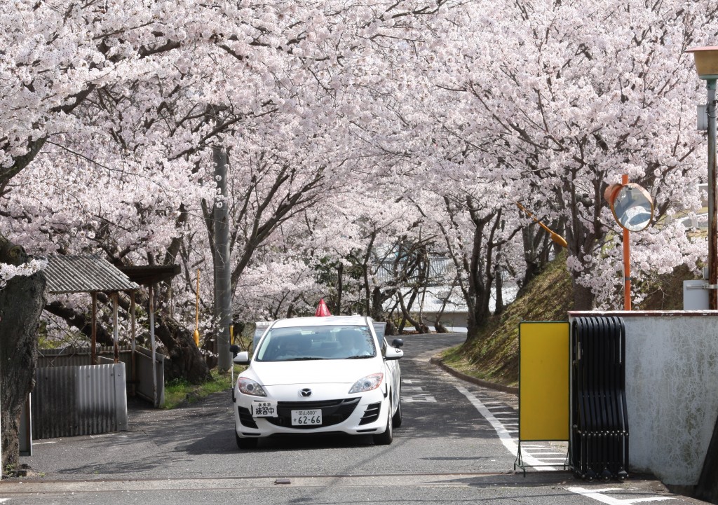 新年度のご挨拶 | 岡山で運転免許を取るなら岡山自動車学校